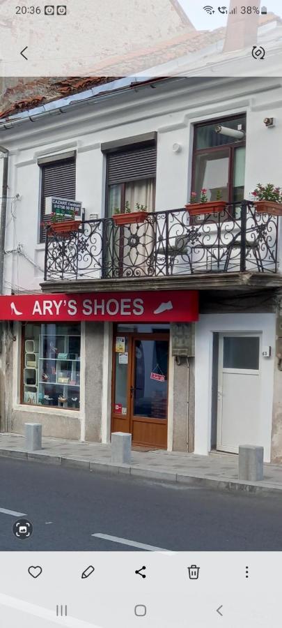 Cazare Centrum Curtea de Argeş Zewnętrze zdjęcie